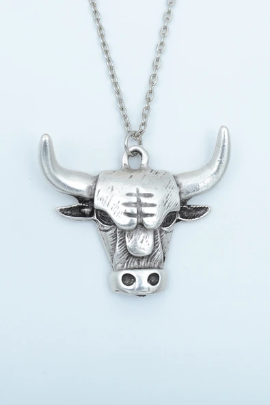 Boğa Gümüş Kaplama Düz Zincir Kolye ürün görseli 1