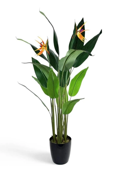 Yapay Ağaç Starliçe 160cm Horoz İbiği Çiçekli Bird of Paradise Artificial Plants