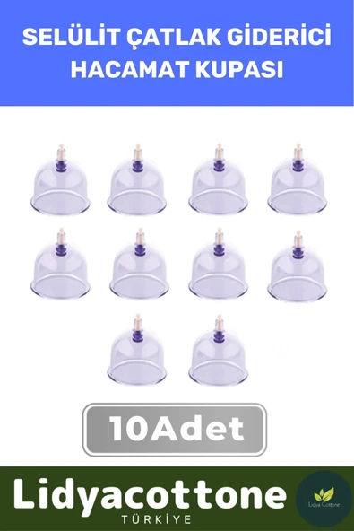 Hacamat Kupası 10 Adet Premium Seri Çatlak Vakumlu 6 Numara