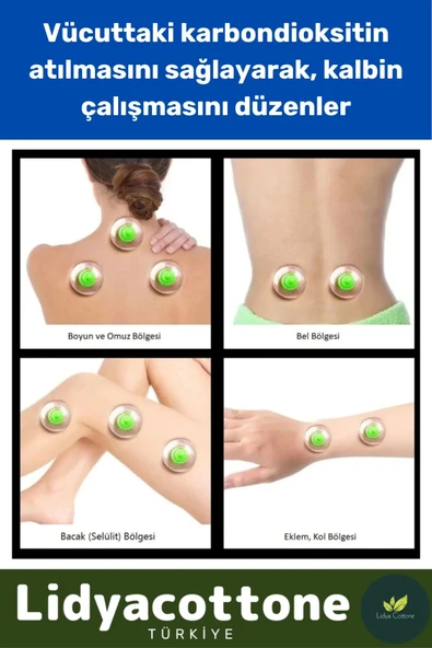 Vakumlu 5 Numara Hacamat Kupası 10 Adet Premium Seri Çatlak - 2