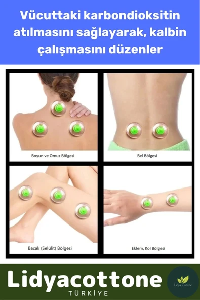 Hacamat Kupası 10 Adet Premium Seri Çatlak Vakumlu 6 Numara - 2