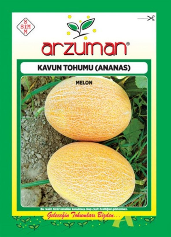 Arzuman Meyve Ananas Kavun Tohumu