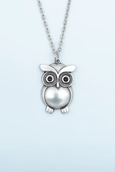 Baykuş Gümüş Kaplama Düz Zincir Kolye ürün görseli 1