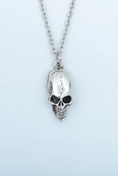 Kuru Kafa Gümüş Kaplama Düz Zincir Kolye ürün görseli 1