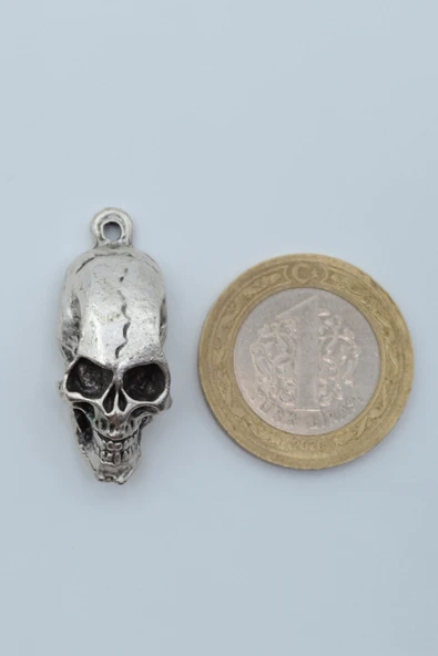 Kuru Kafa Gümüş Kaplama Düz Zincir Kolye - Resim 4