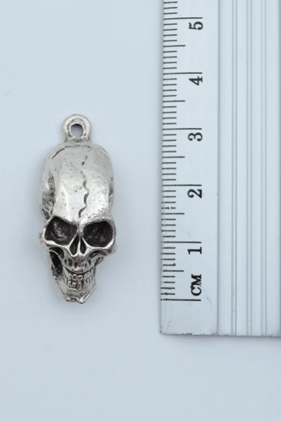 Kuru Kafa Gümüş Kaplama Düz Zincir Kolye - Resim 3