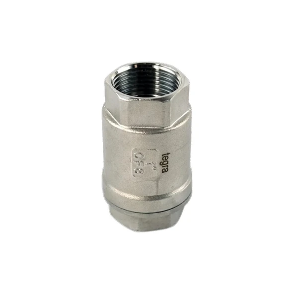 1"PASLANMAZ DİK ÇEKVALF 304