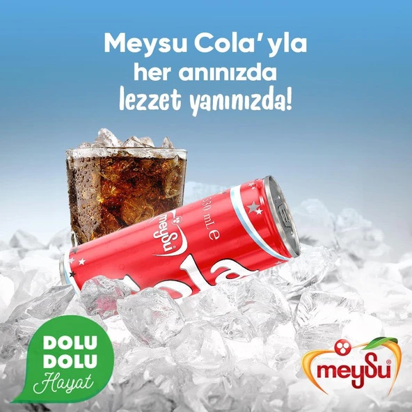 Meysu Kola 330 Ml - 1