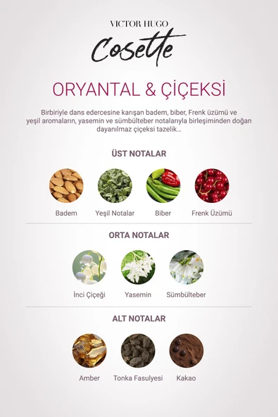 Cosette Edp Kadın Parfümü 100ml| Oryantal,Çiçeksi | Frenk Üzümü,İnci Çiçeği, Yasemin, Amber, Kakao - 5