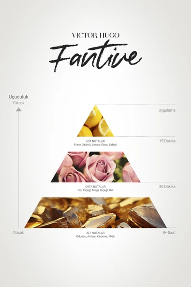 Fantine Edp Kadın Parfümü 100ml  Meyveli, Çiçeksi Frenk Üzümü, Gül, İnci Çiçeği, Amber, Misk, Odunsu - 3