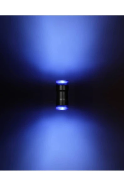 Ucuz Geldi Çift Taraflı Bahçe Aplik Dekoratif Su Geçirmez Duvar Apliği Mavi Renk Çiçek Aplik 2 Adet Gu10 Ampul - Resim 4