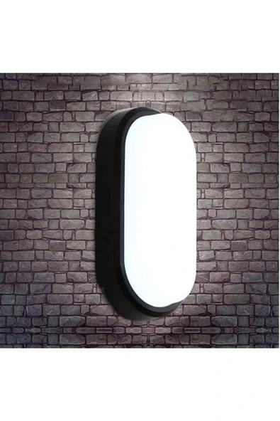 Ucuz Geldi Banyo Tavan Lambası Aydos 20W Oval Balkon Tavan Lambası 6400K Beyaz LED Işık Teras Duvar Lambası