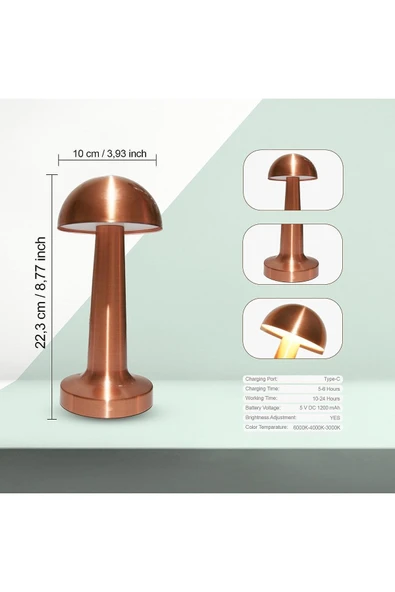 Ucuz Geldi Şarjlı Masa Lambası Dimmerli Dekoratif Abajur Cata Lizbon Bronz Dokunmatik Sunum Lambası 3 Renk Modu - 4