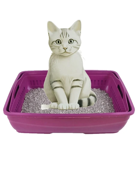 Açık Süzeçli Elekli Kedi Tuvaleti 37x49x17 cm - 3