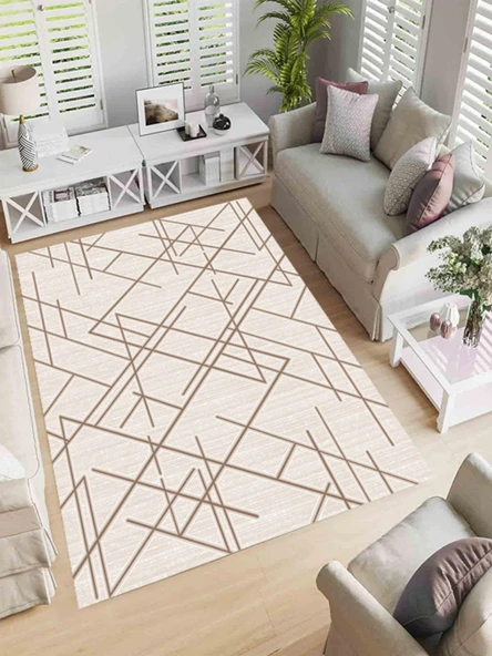 Makinede Yıkanabilir Leke Tutmaz  Vizon Makina Dokuma Kaymaz Taban Çizgi Halı Ald34  Vizon 120 x 180 - Resim 2