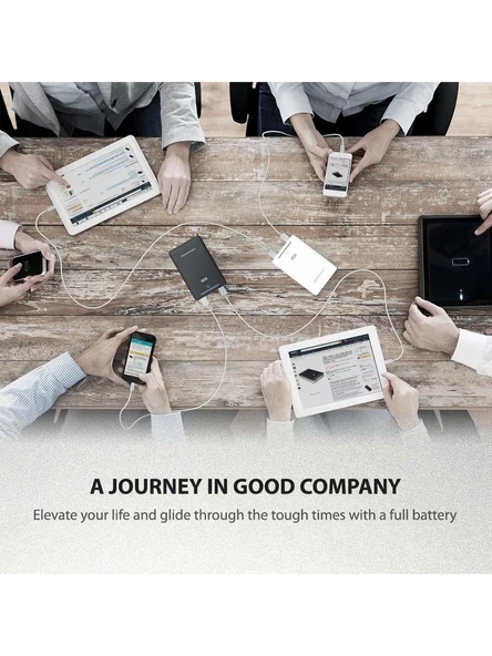 Ravpower 16750mAh Powerbank Çift iSmart 2.0 USB Bağlantısı RP-BP19 - 3