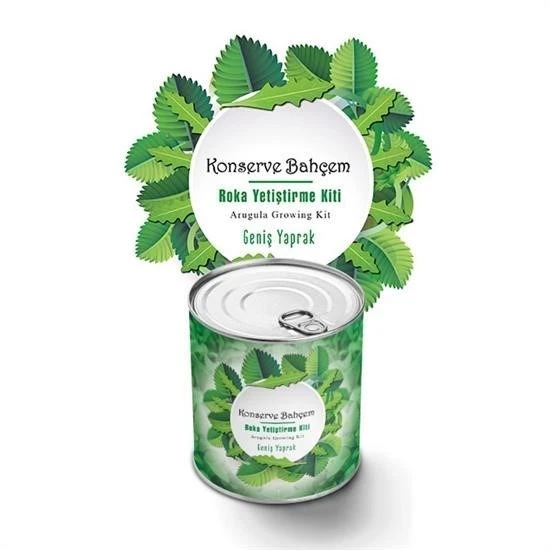 MERGEN STORE Konserve Bahçem Evde Konservede İri Yapraklı Roka Yetiştirme Kiti