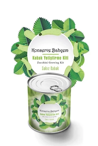MERGEN STORE Konserve Bahçem Evde Konservede Sakız Kabak Yetiştirme Kiti - 2