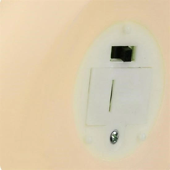MERGEN STORE Mini Kaktüs Dekoratifli Pilli Led Masa Gece Lambası Aydınlatma - 4
