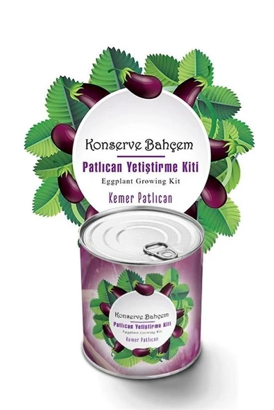 MERGEN STORE Konserve Bahçem Evde Konservede  Kemer PatlıcanYetiştirme Kiti - Resim 2