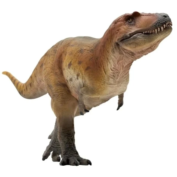 PNSO Prehistorik Dinozor Modelleri-64 70 Keynes the Lythronax
