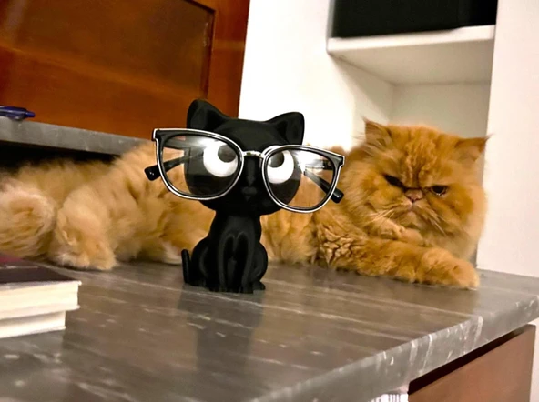 Siyah Kedi Dekoratif Gözlük Standı - Gözlük Düzenleyici - Gözlük Tutucu
