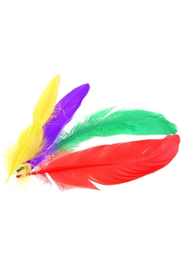 Tickle Me Feet ( Ayak Gıdıklama) Kutu Oyunu - 5