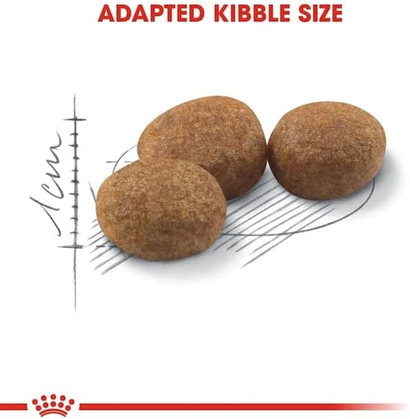 Royal Canin Kısırlaştırılmış Kediler İçin, 37 Kuru Kedi Maması, 2 Kg - 2