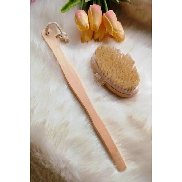 Uzun Saplı Ahşap Doğal At Kılı Fırçası-selülit Ve Çatlak Önleyici Fırça