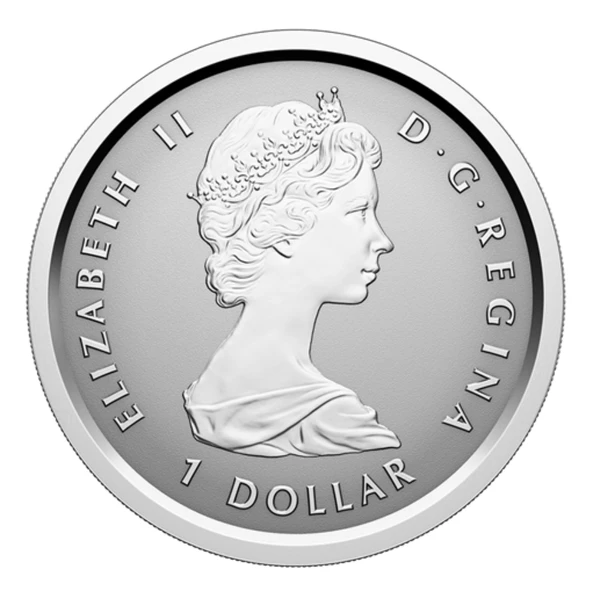 AgaKulche Maple Leaf Set 2025 Gümüş Sikke Coin - 11