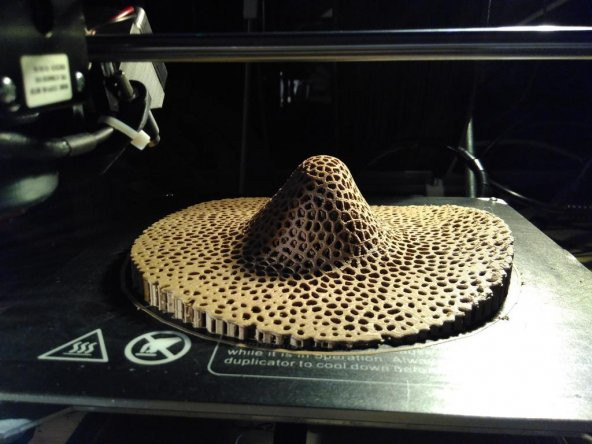 Voronoi Şapka Takı Standı Plastik Aparat - 5
