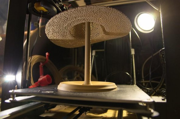 Voronoi Şapka Takı Standı Plastik Aparat - 9
