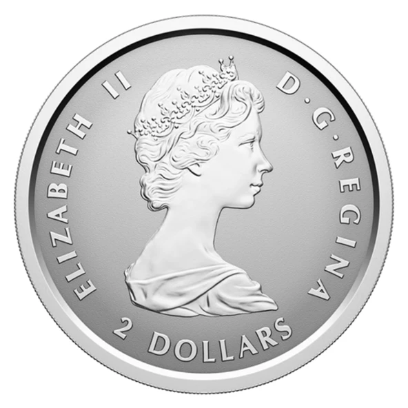 AgaKulche Maple Leaf Set 2025 Gümüş Sikke Coin - 9
