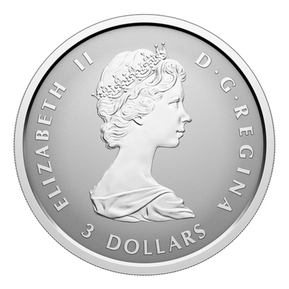 AgaKulche Maple Leaf Set 2025 Gümüş Sikke Coin - 7