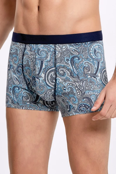 Erkek Şal Desen Modal Boxer - Resim 5