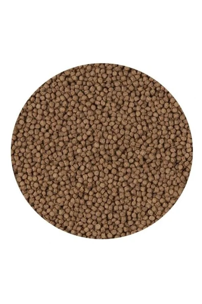 Sera Insect Nature Balık Yemi 250 Ml 95 Gr - Resim 2