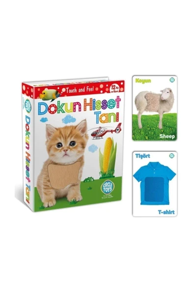 Dokun Hisset Tanı Eğitim Kartları, Zeka Kartları - 2