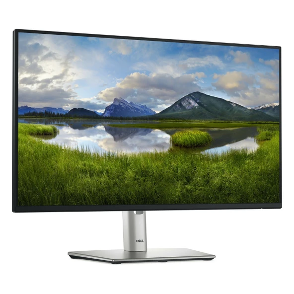 Dell P2425H 23.8" 100Hz 5Ms VGA+HDMI+DP+USB-C FullHD IPS Pivot Vesa Monitör - 2