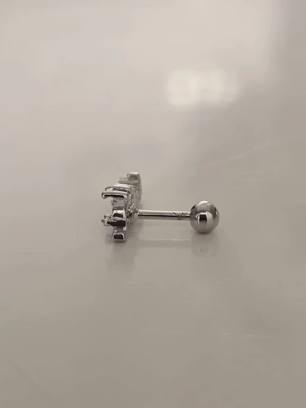 Deniz Atı Model Kıkırdak Piercing Tragus Helix Silver Gümüş Renk Küpe - 3