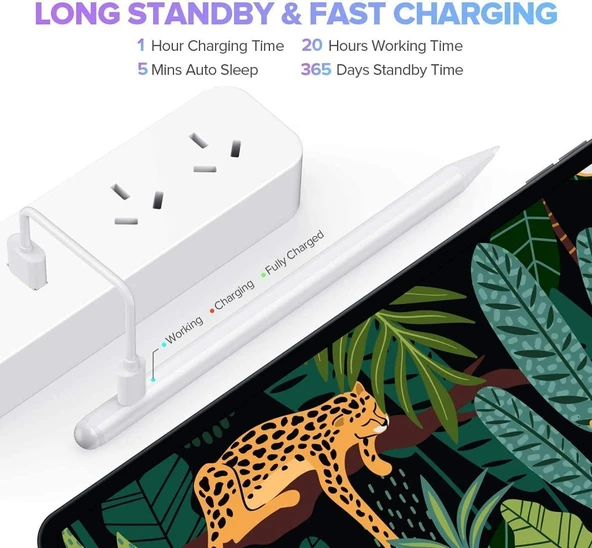 Mıknatıslı Stylus Kapasitif Dokunmatik Kalem Tüm Cihazlar Telefon ile Uyumlu Çizim Tasarım Tablet Kalemi - 11