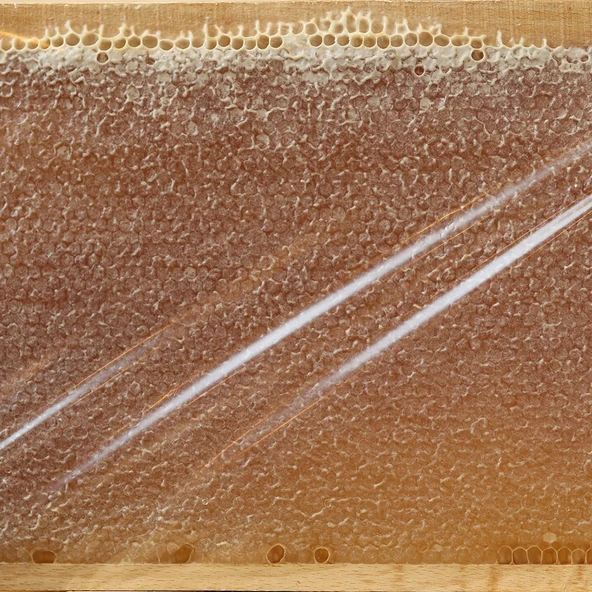 MühendisArı Petek Bal 1.5 KG - 2