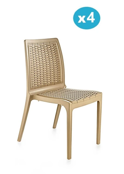 Omnipazar SY-2523 Rattan Bahçe Sandalye 4'lü Set - 5