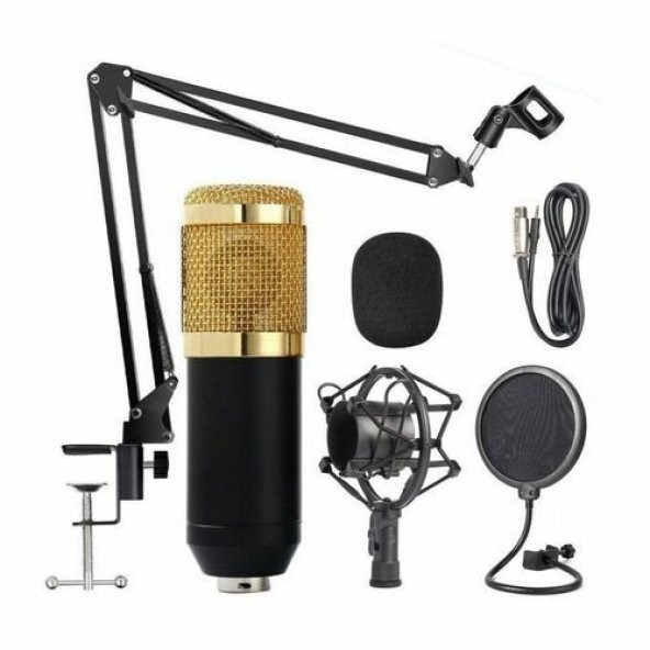 BM800 Profesyonel Stüdyo Youtuber Kayıt Mikrofonu