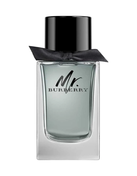 Burberry Mr. Burberry Erkek Parfüm EDT 100 ML