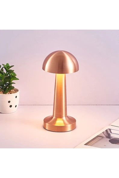 Usb Şarjlı Dokunmatik Rose Gold Masa Lambası Fl-8054 (3renk)
