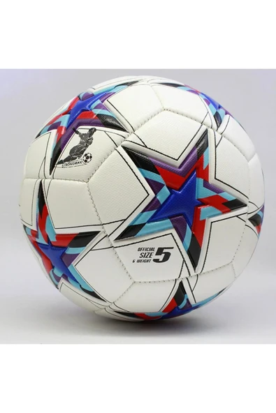 Futbol Topu Dikişi Sert Zemin ve Halı Saha Şampiyonlar ligi
