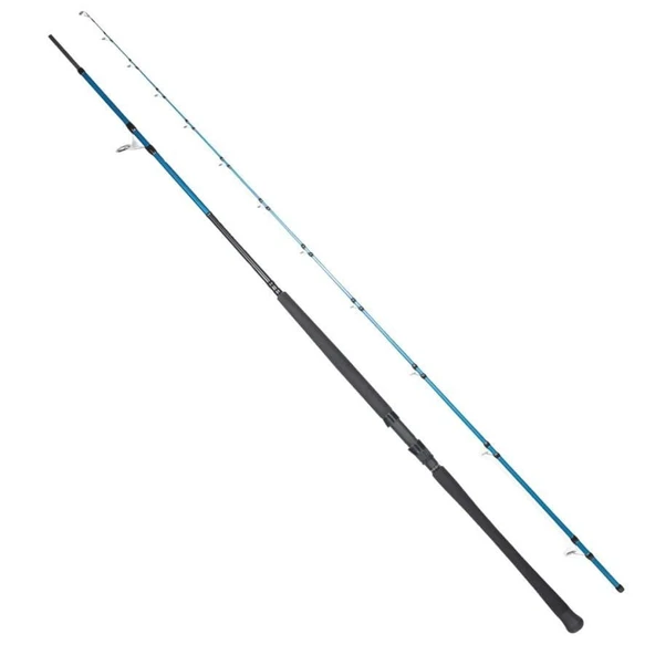 Ryuji Shore Game Fuji KW 310 cm 60-150g Atarlı Shore Jig Kamışı