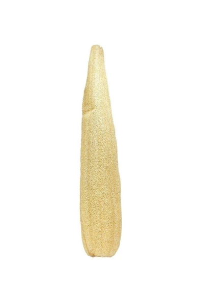 Kese Hamam Kesesi Kabak Lifi 60 - 70 Cm Ham Kabak Lifi Işlenmemiş Lif Kabak - 2