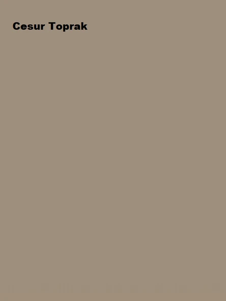 Marshall Maximum Mat Silikonlu Cesur Toprak 2,5 Lt. (3,5 Kg) - Resim 2