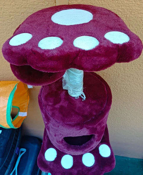 pati şekilli tırmalamalı kedi evi - Resim 4